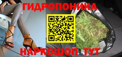 дурь Бийск