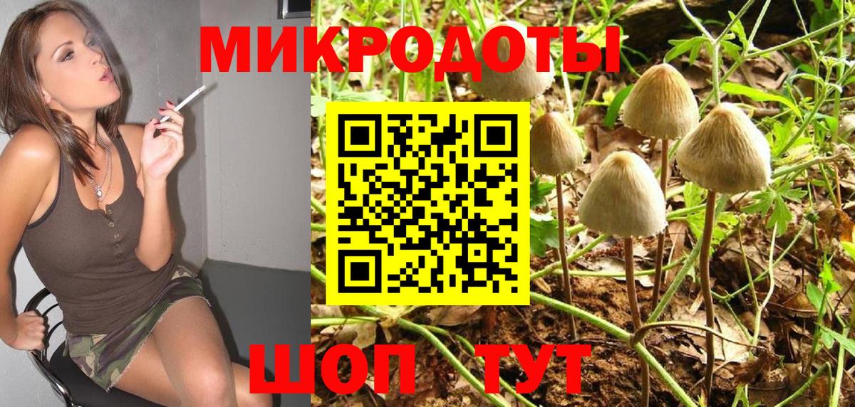 Галлюциногенные грибы Psilocybine cubensis Белебей